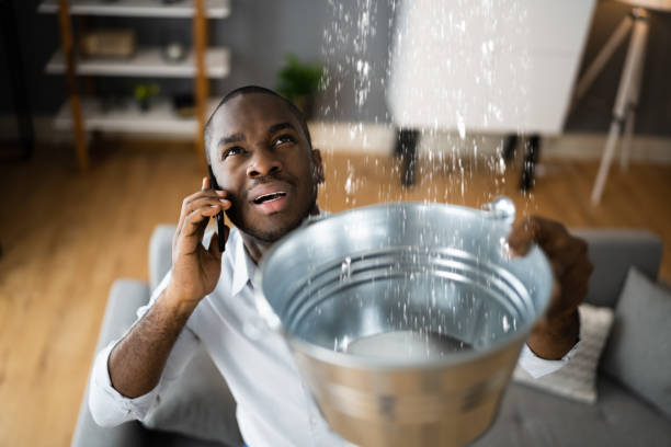 Best Flooded house restoration  in Vidor, TX