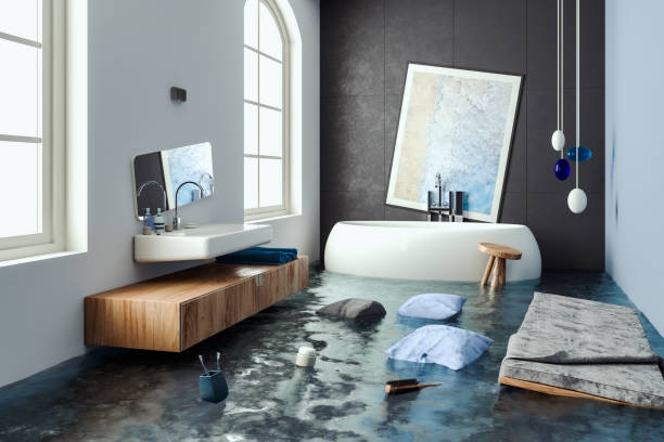 Best Water damage restoration near me  in Vidor, TX