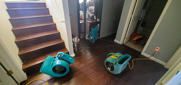 Best Carpet water damage restoration  in Vidor, TX