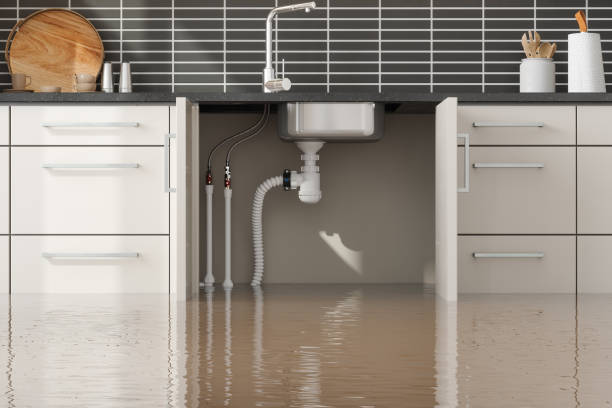 Best 24-hour water damage restoration  in Vidor, TX