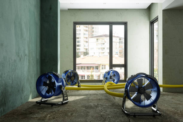 Best 24/7 water damage repair  in Vidor, TX